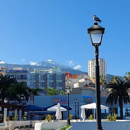 La Hoya 11 Appartement